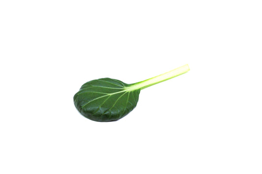 Tatsoi 50g