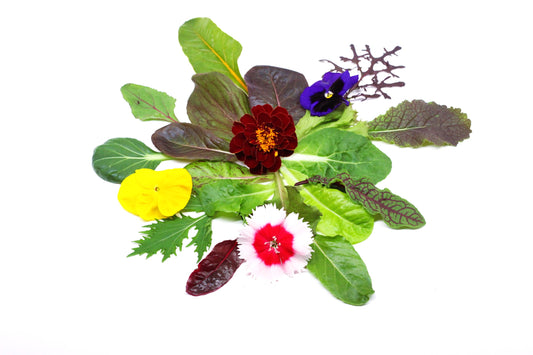 Color Mix (Mezclun con Flores) 100g