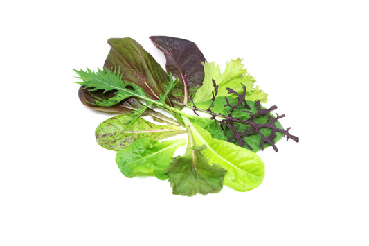 Mizuna y Lechuga 100g